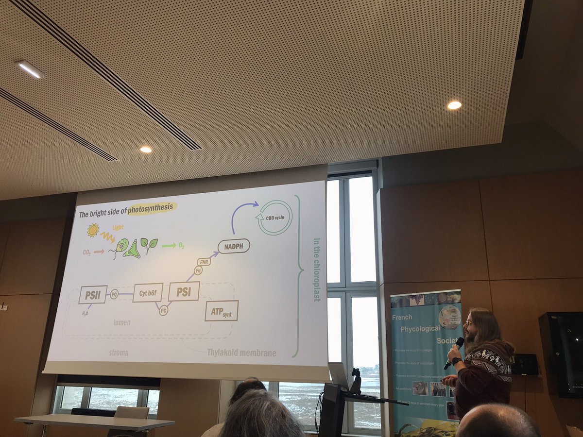 Présentation sur la régulation de la photosynthèse par Marcelo Orlando #JSPF2024 <a href="/SBRoscoff/">Station Biologique de Roscoff</a>
