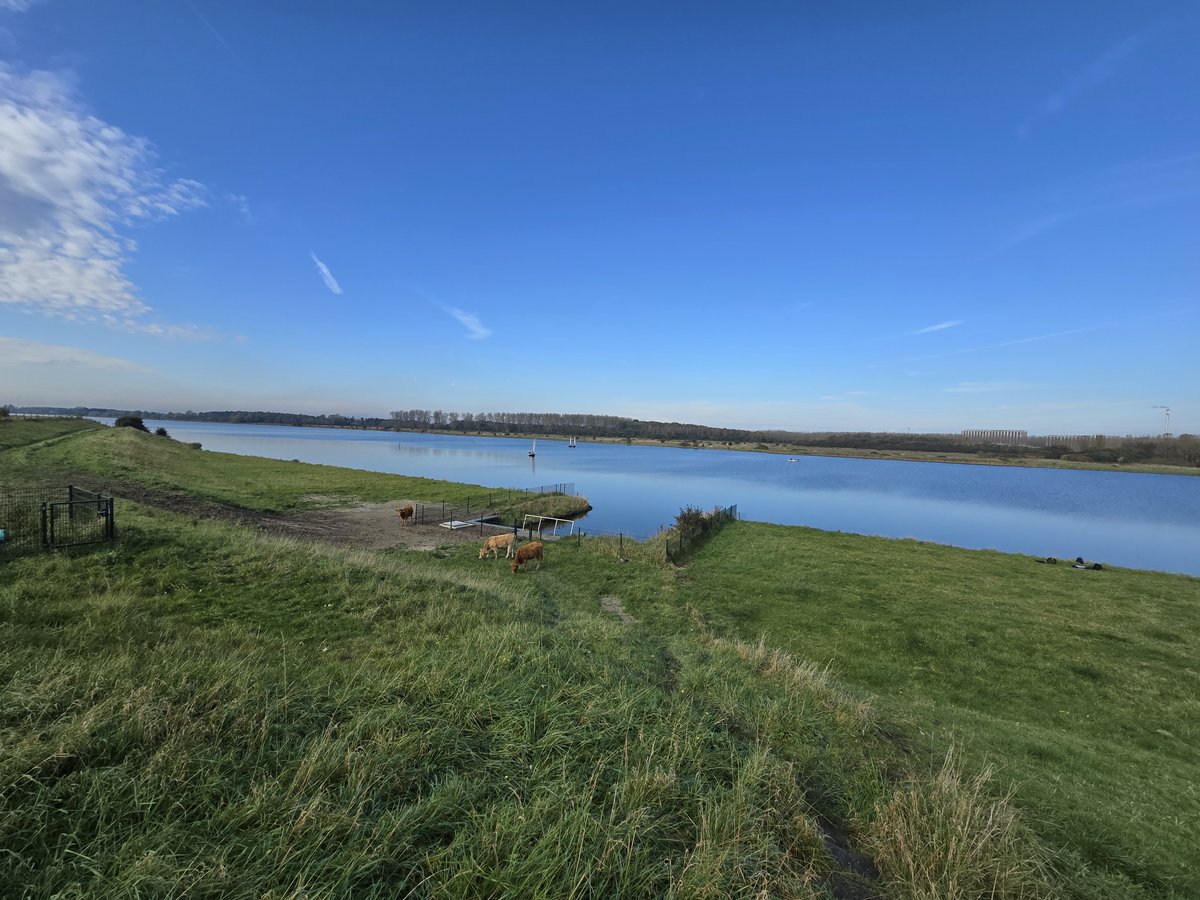 De #vispassage bij gemaal Lovenpolder werkt! In korte tijd zijn er al 12 verschillende vissoorten en meer dan 17.000 vissen gepasseerd. Vooral #baars en #blankvoorn weten de verbinding tussen de Braakmankreek, de Hoekse kreek en de achterliggende polders goed te vinden.