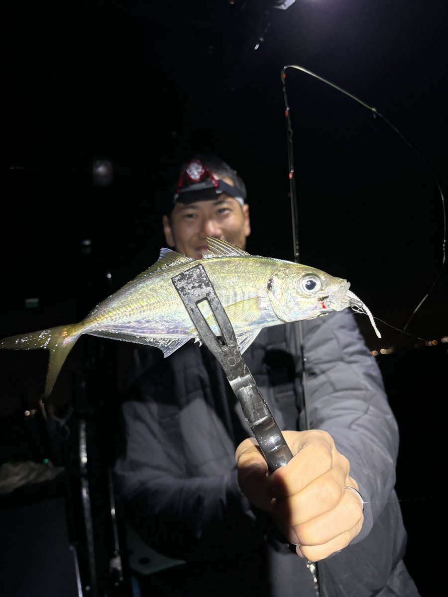 前川 黛也 tweet media