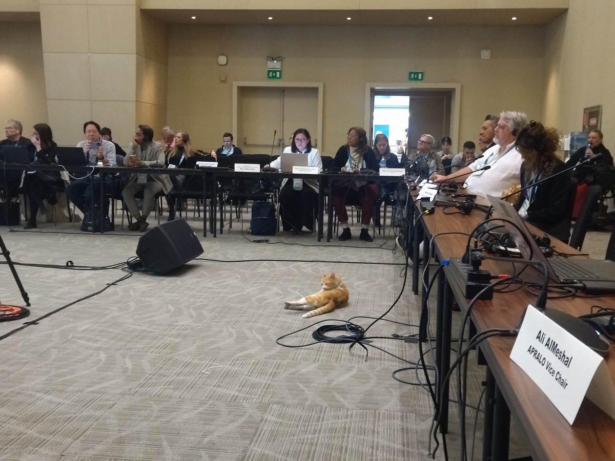 Filina Natalia tweet media