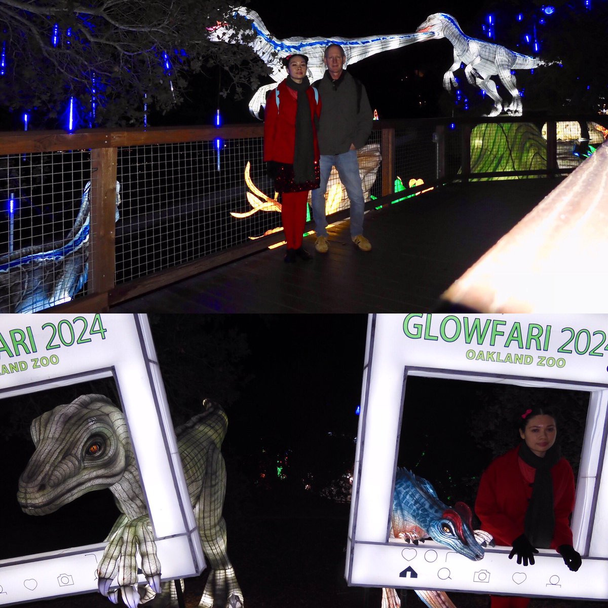 Queenie4ever's tweet photo. Glofari was cool #Visitoakland #glofari #oaklandzoo #lanterns https://t.co/GISTvdlSS1