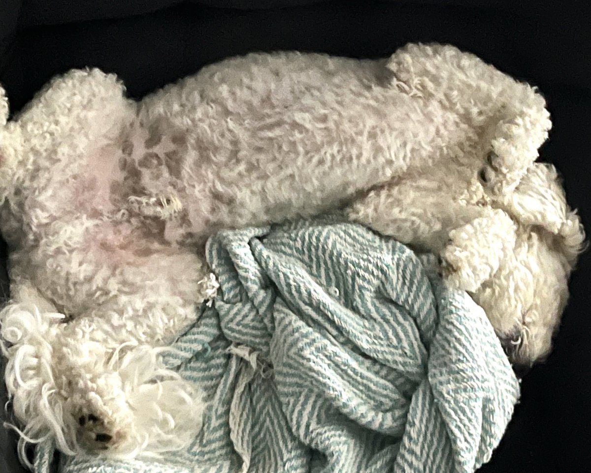 Comfortable? Good thanks…