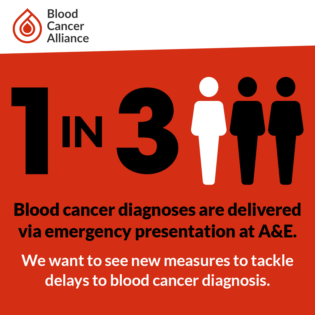 Together, blood cancers are the 5th most common cancer. But to date, cancer policymaking hasn't addressed the significant issues in delays to diagnosis and equitable access to treatment and care. This must change in the forthcoming NHS 10 Yr Plan and accompanying cancer plan.
