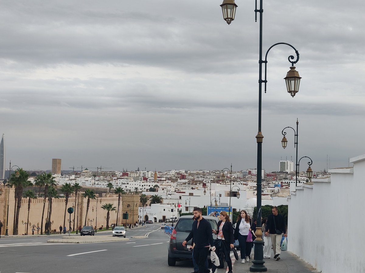 EithneBrowne's tweet image. Another great @Root2Res  annual meeting hosted by @ICARDA in beautiful Rabat, Morocco. Lots of discussions on data analysis methods, skill sharing &amp;amp; implementing new technology for phenotyping roots &amp;amp; #rhizosphere soils, also some lovely cats.