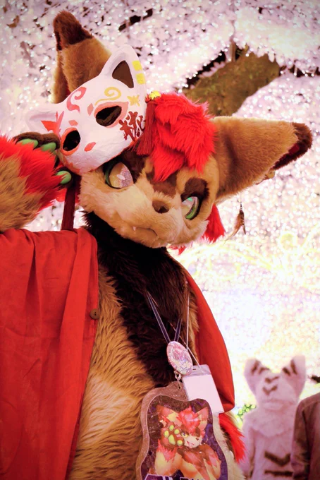 #Kemocon17 #FursuitEveryday アルファくん!! 今年のJMoF以来ご挨拶出来なかったしイルミトンネルで会えたのが嬉しい