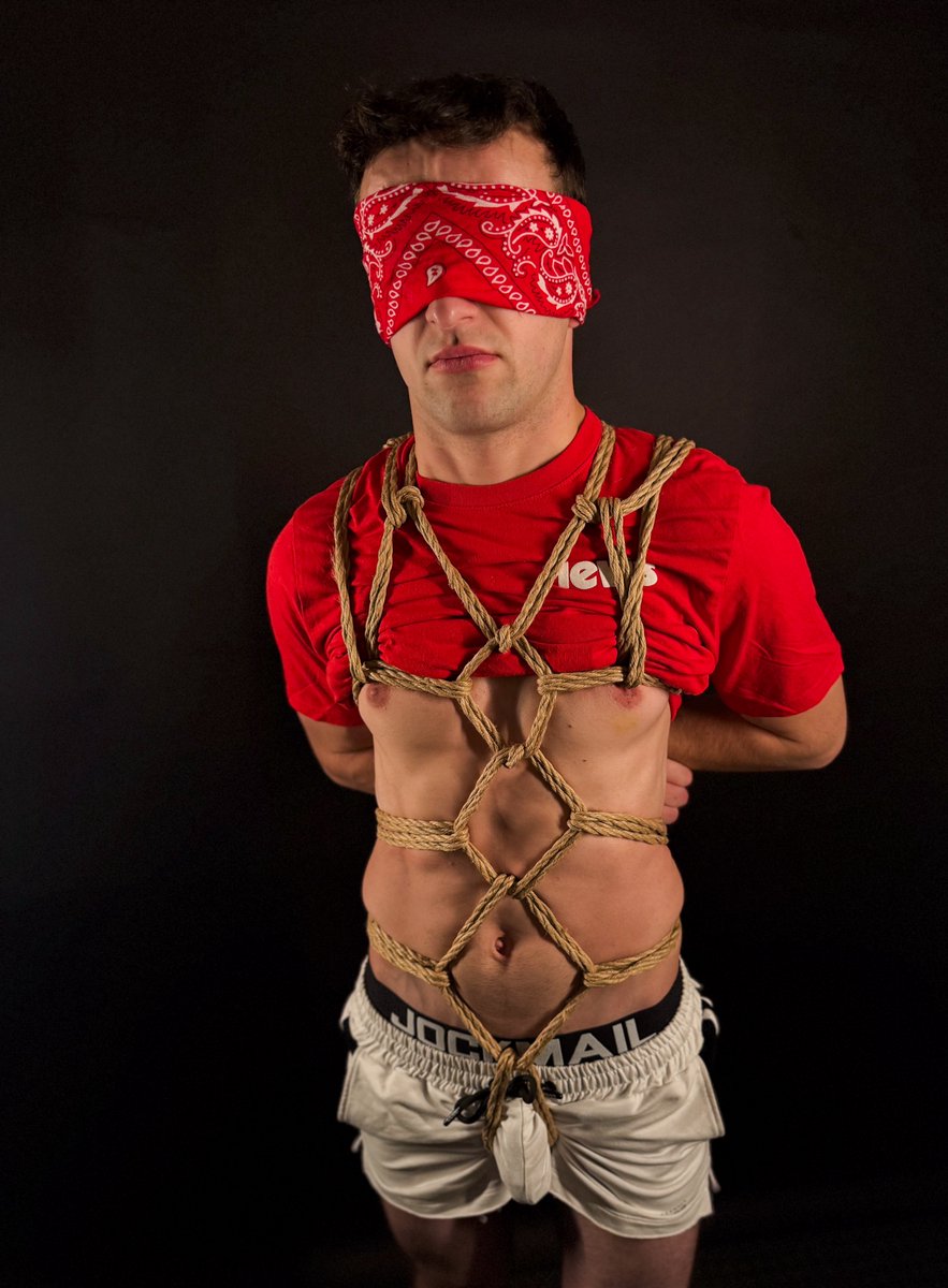 Dominum Maximus tweet media