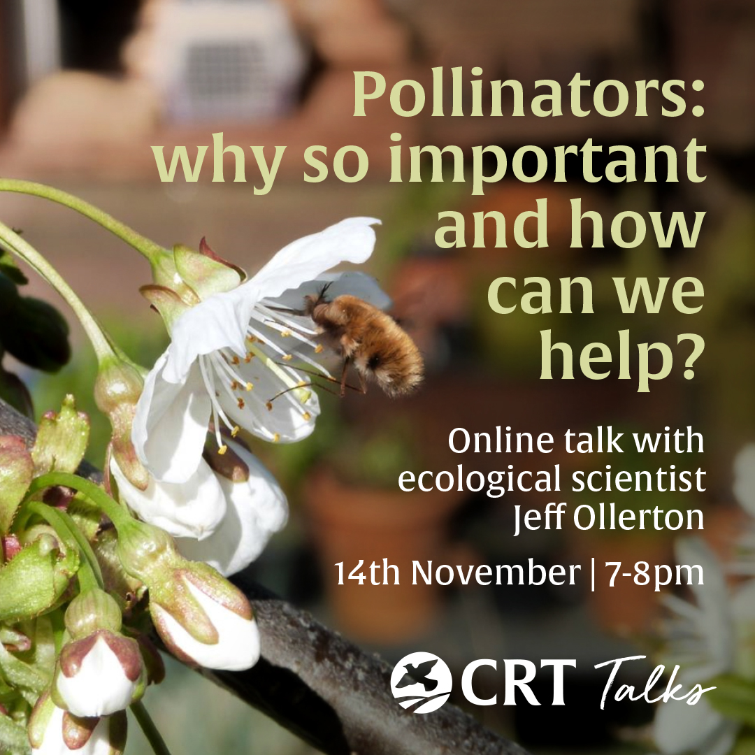 CRTWildlife's tweet image. Today ecological scientist @JeffOllerton will be giving our second online talk called Pollinators:  why so important and how can we help? from 7pm to 8pm. Please sign up in advance to receive the link - thecrt.co.uk/Event/pollinat… #events #bees #pollinator #pollination #onlinetalk