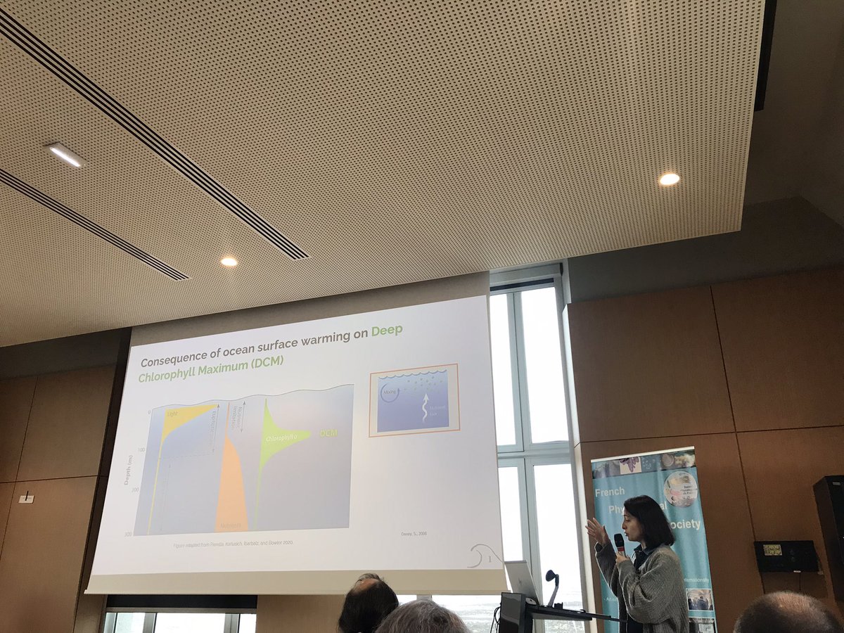 Présentation de Chloé Seynman sur l’adaptation de Pelagomonas calceolata à un faible apport en lumière  #JSPF2024 <a href="/SBRoscoff/">Station Biologique de Roscoff</a>
