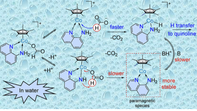 Basker Sundararaju (@basker25071980) on Twitter photo Hot off the press from @acscatalysis ! Hearty congratulations to <a href="/Nidhigarg1994/">Nidhi Garg, Ph.D.</a> for mechanistic study on transfer hydrogenation (TH) using the Cp*Co(N,NH2)I catalytic system. Big thanks to #ANRF for funding and <a href="/IFCPAR/">IFCPAR/CEFIPRA</a> for Raman-Charpak fellowship to <a href="/Nidhigarg1994/">Nidhi Garg, Ph.D.</a> ! #Cobalt #TH Hot off the press from @acscatalysis ! Hearty congratulations to <a href="/Nidhigarg1994/">Nidhi Garg, Ph.D.</a> for mechanistic study on transfer hydrogenation (TH) using the Cp*Co(N,NH2)I catalytic system. Big thanks to #ANRF for funding and <a href="/IFCPAR/">IFCPAR/CEFIPRA</a> for Raman-Charpak fellowship to <a href="/Nidhigarg1994/">Nidhi Garg, Ph.D.</a> ! #Cobalt #TH