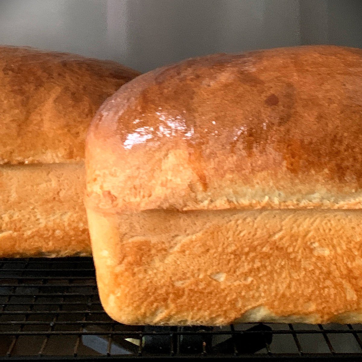 marybethxx6's tweet image. Bread sauce for the freezer …#gettingahead , #christmasprep 🎄