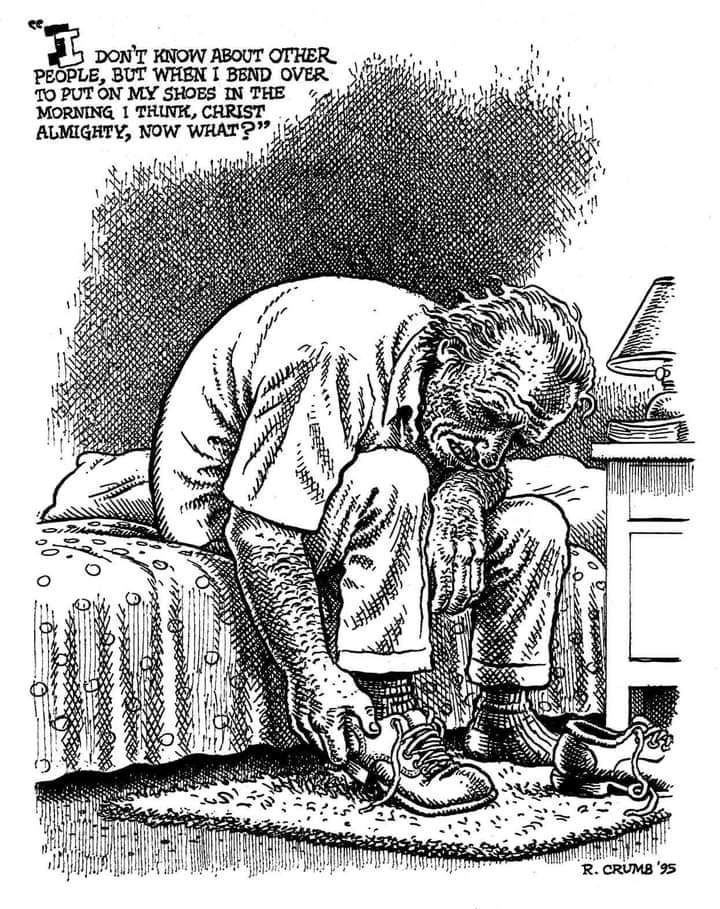 nougatbolle (@mortisigor) on Twitter photo 