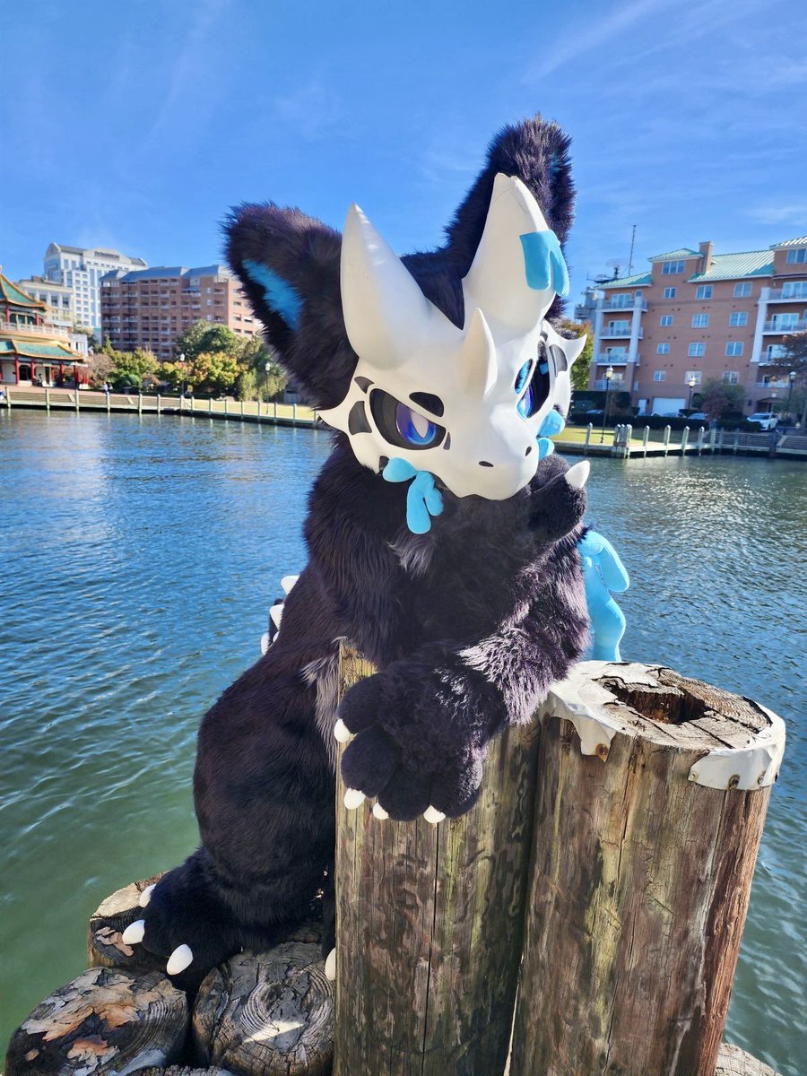Xikala can’t swim…
🌊🌊🌊🌊
But they can still enjoy a waterfront view! 

📷: <a href="/LEYENDAS2/">LEYENDAS</a>
#furry #fursuit