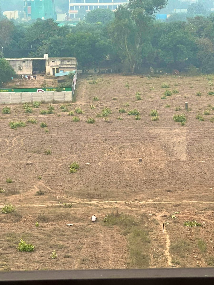 iamofficialdev's tweet image. It’s great neighbourhood, you have to step outside. 
The view from my balcony when I see outside. 🙃

#Nature #outsideview