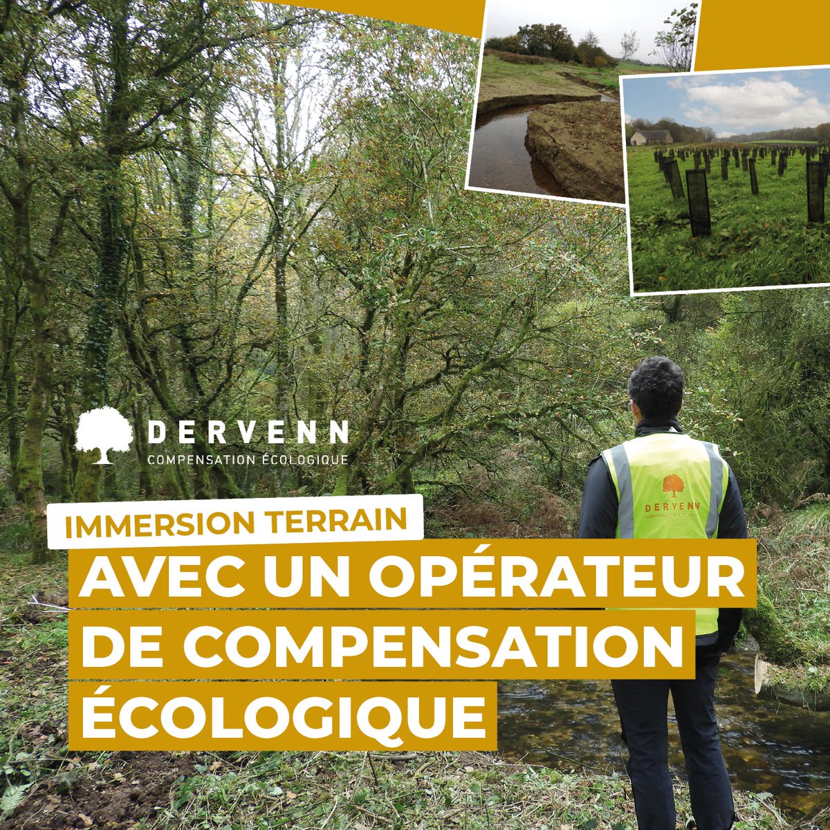 À l’occasion d’une journée de terrain avec un opérateur de compensation, nous vous proposons un aperçu de ses missions quotidiennes : Négociation pour l'implantation de haies ; Suivi de chantier ; Délimitation de zone humide ; Contrôle des plantations et des entretiens.