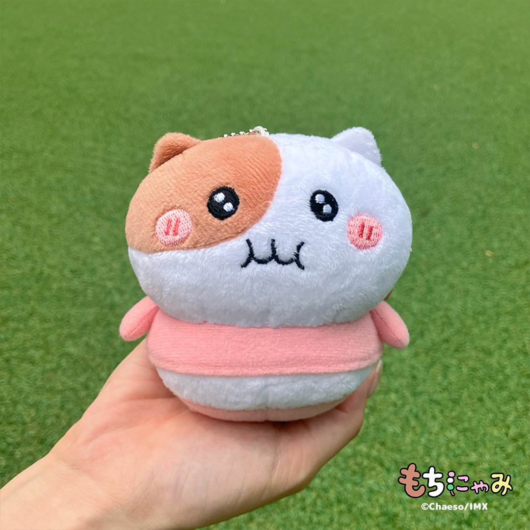 もちにゃみ (@MOCHINYAMI) on X