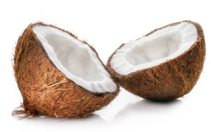 rantandmusing's tweet photo. @IndiGo6E Hi. Is a coconut, broken in two halves (reference image attached), allowed in either cabin or checked in baggage on domestic flights? https://t.co/nFWJSh30Gq