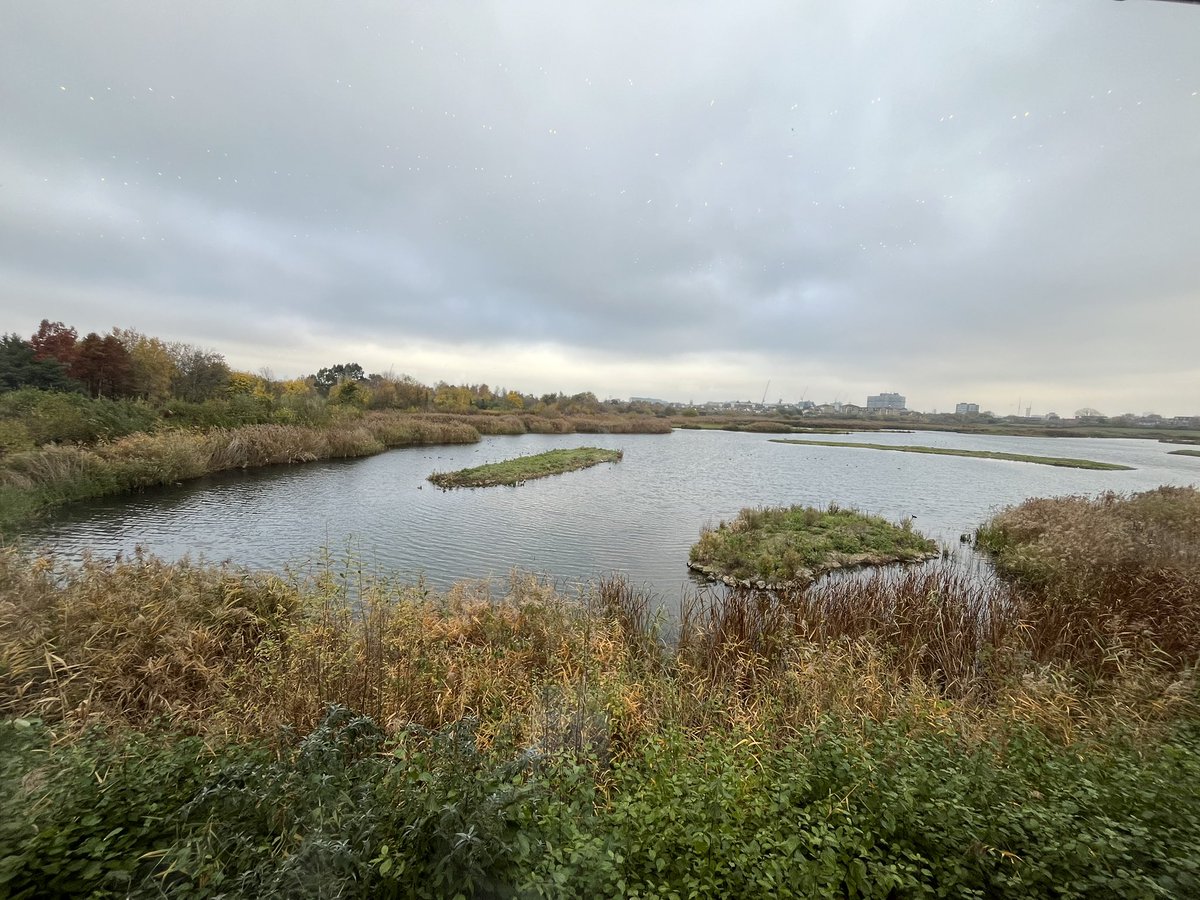 Saasha Celestial-One tweet media