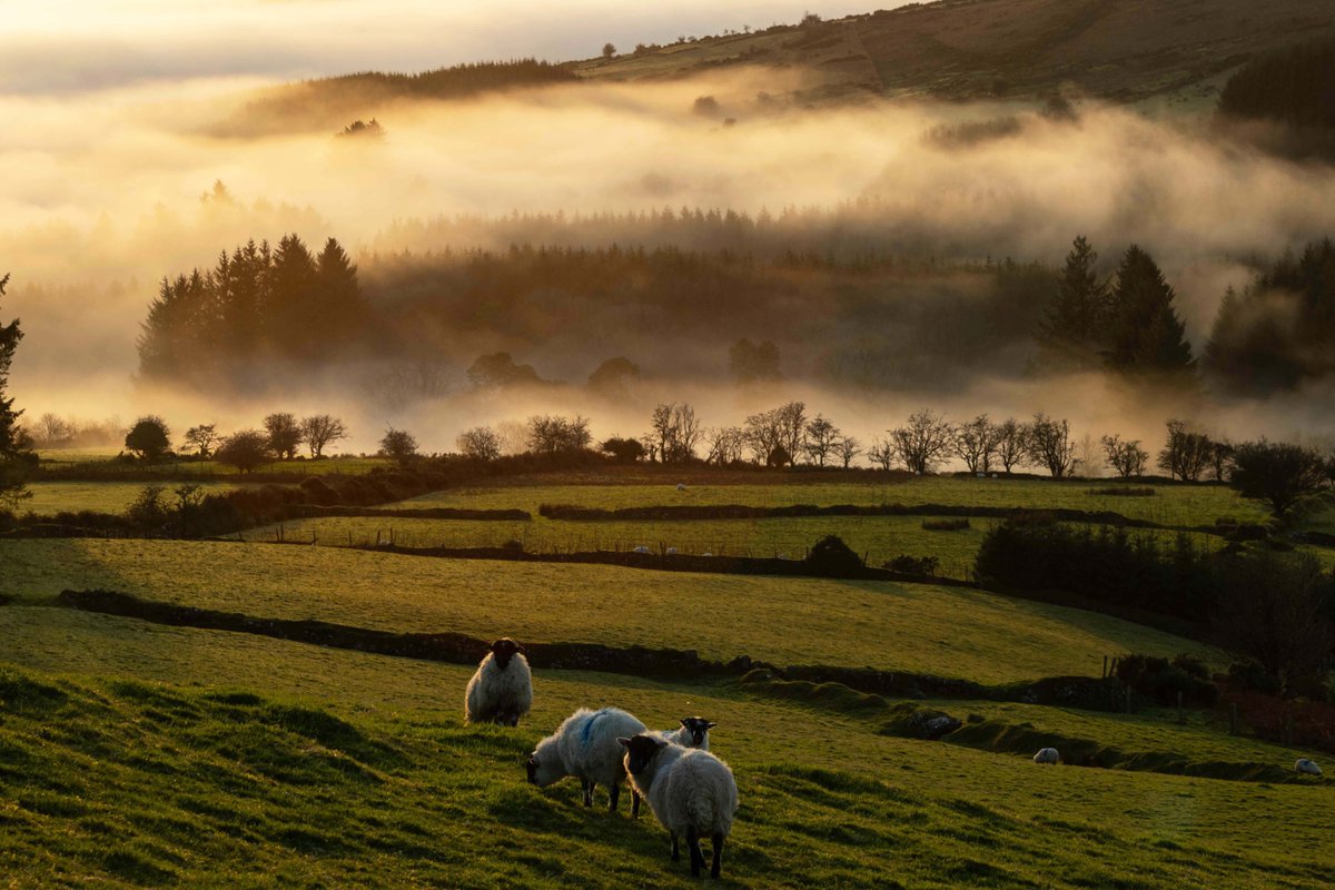 Fog creeping into the Nire Valley at sunset.