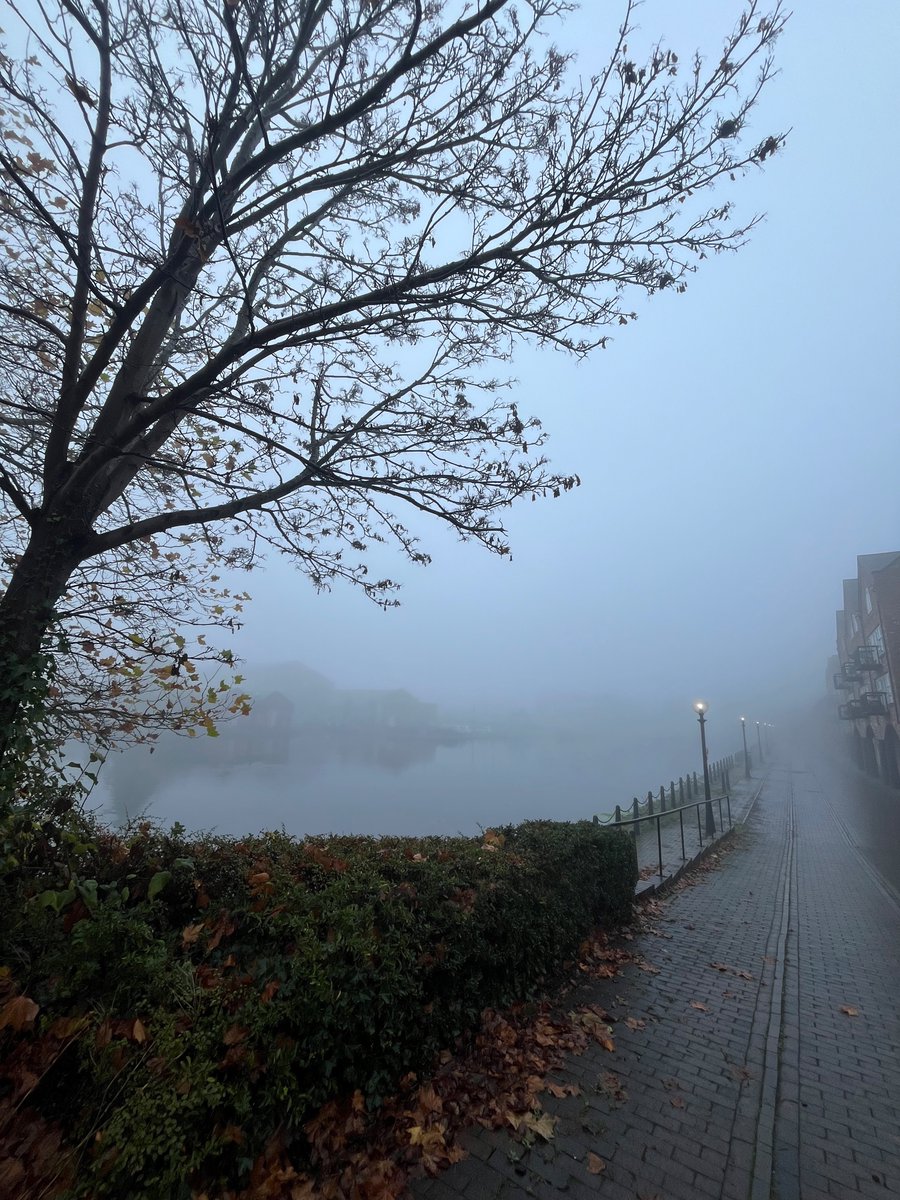 Sophia Hatton ND tweet media