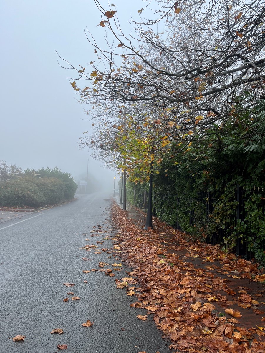 Beautiful morning this morning at the Wirral office! 😍

Is it too early to start thinking about Christmas? 😅🎅🎄