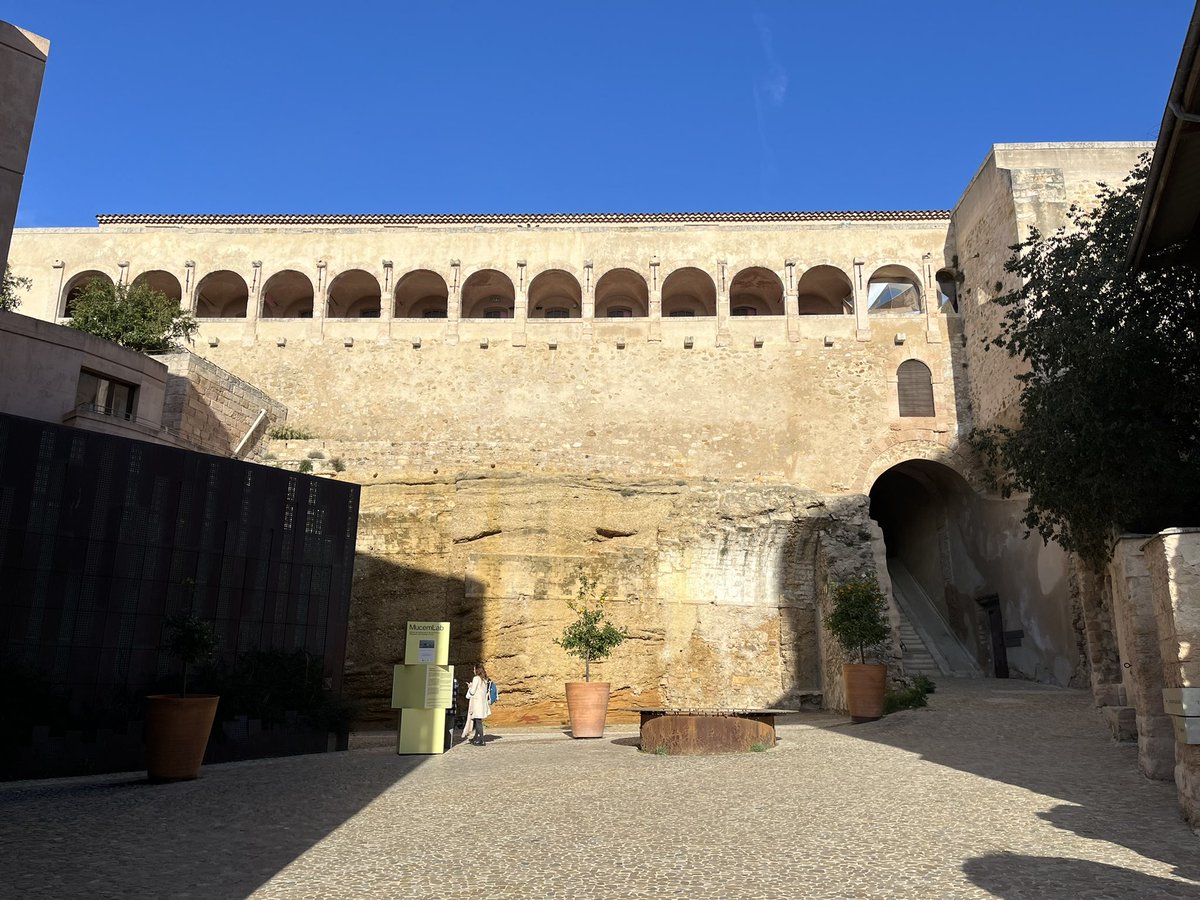 Solène Rivoal tweet media