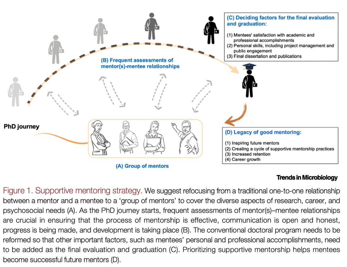 Hamed Azarbad tweet media