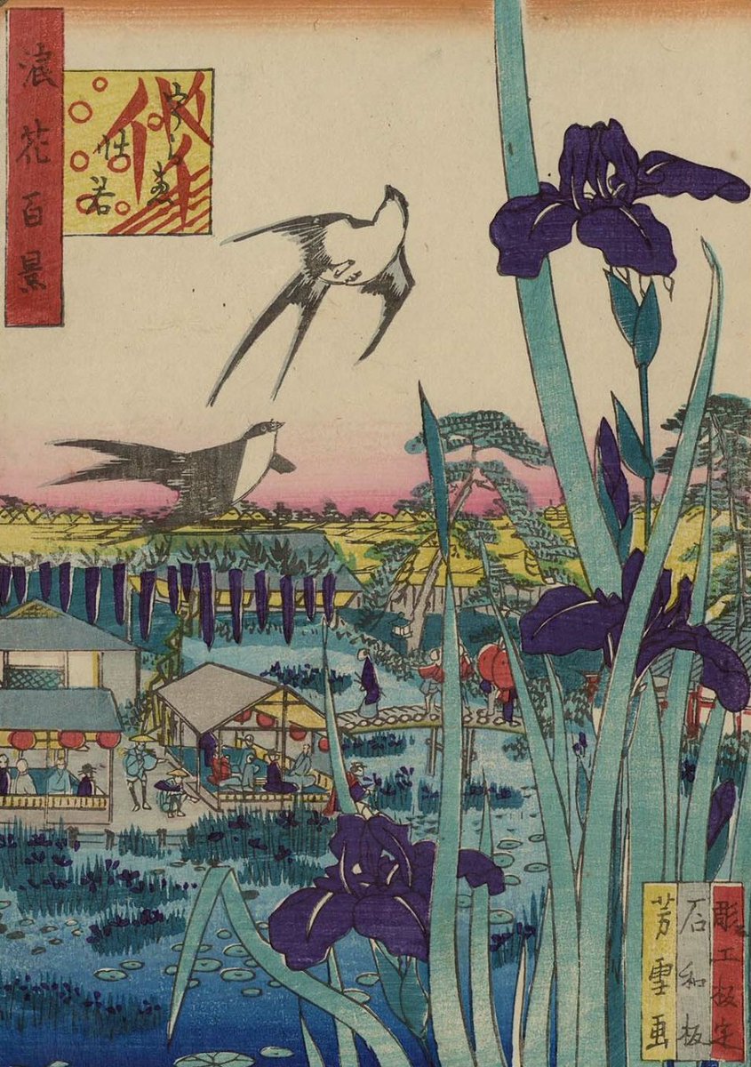 雨の日や門提げてゆく杜若

giorno di pioggia ‒
degli iris portati
attraverso il cancello

#haiku di Itō Shintoku (1633-1698), tr. Luca Cenisi

Da: T. Andō, S. Mori, R. Īda (a cura di), Haiku no kanshō, Chikumashobō, 1980, p. 73

Immagine: Nansuitei Yoshiyuki, Iris a Urae (1860)