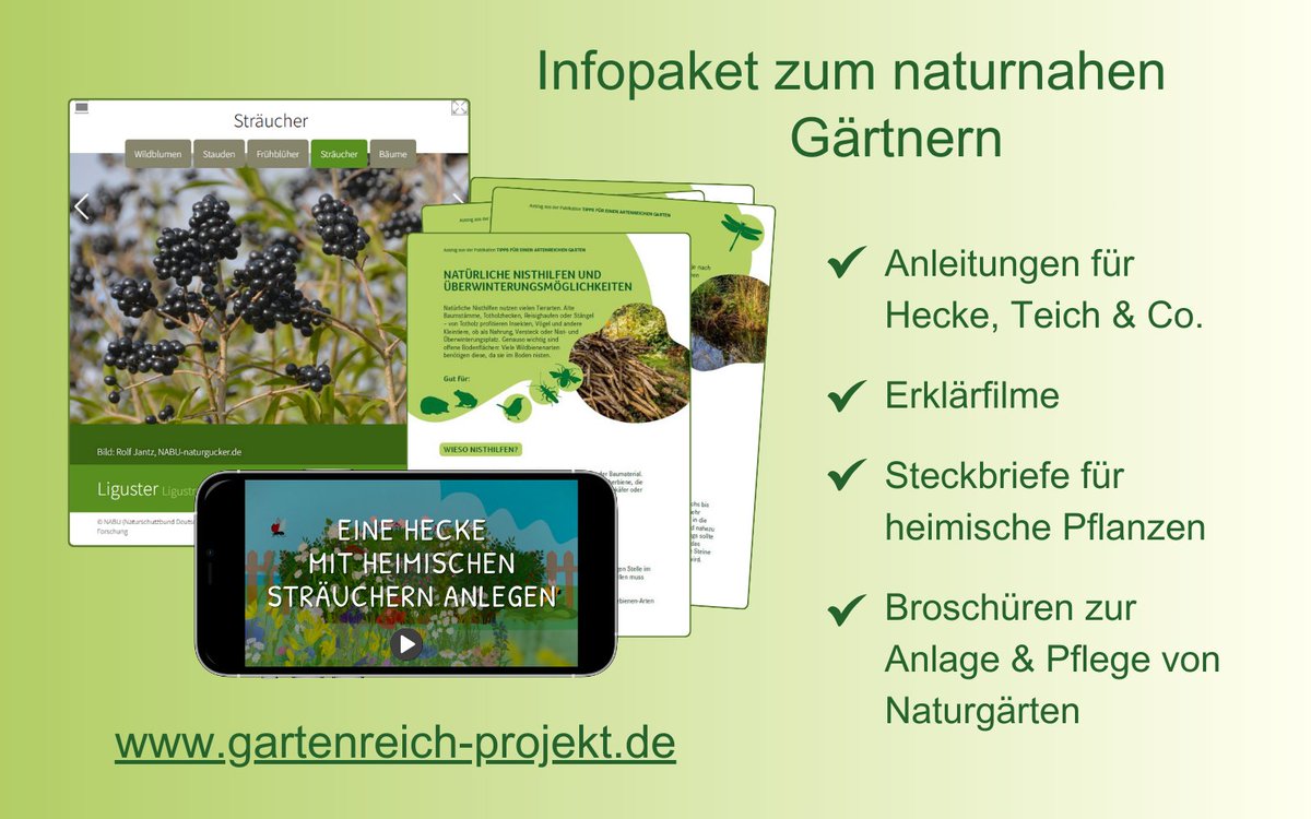 Herbst = Pflanzzeit: Wer statt Kirschlorbeer z. B. eine Wildrosenhecke pflanzt, hilft heimischen Tieren. 
Das #gARTENreich-Infopakt gibt Tipps für einen naturnahen #Garten, denn die 16,6 Mio. Privatgärten in Deutschland sind für die #Biodiversität wichtig.
ioew.de/presse/pressem…