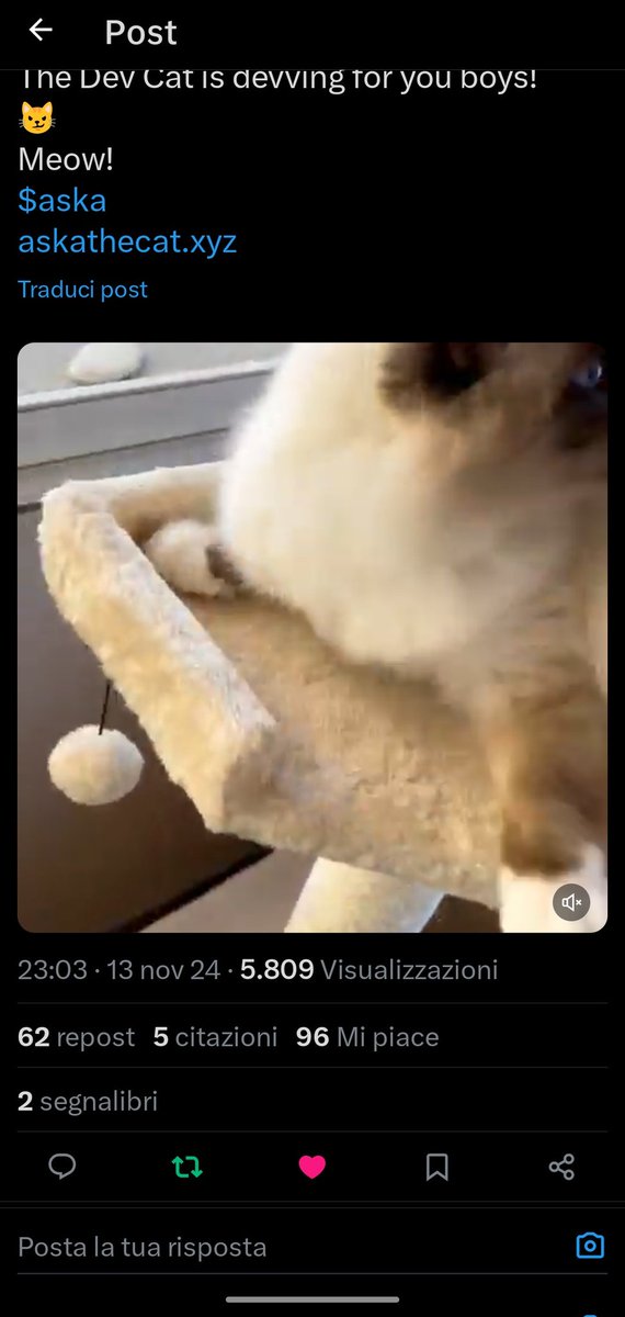 cryptoX27's tweet photo. @Askathecat DkQE87WrbWA6YTNLbjAVnEqhtcGzPxugsRHnwMPq2vWe https://t.co/ItYlZ2lETM