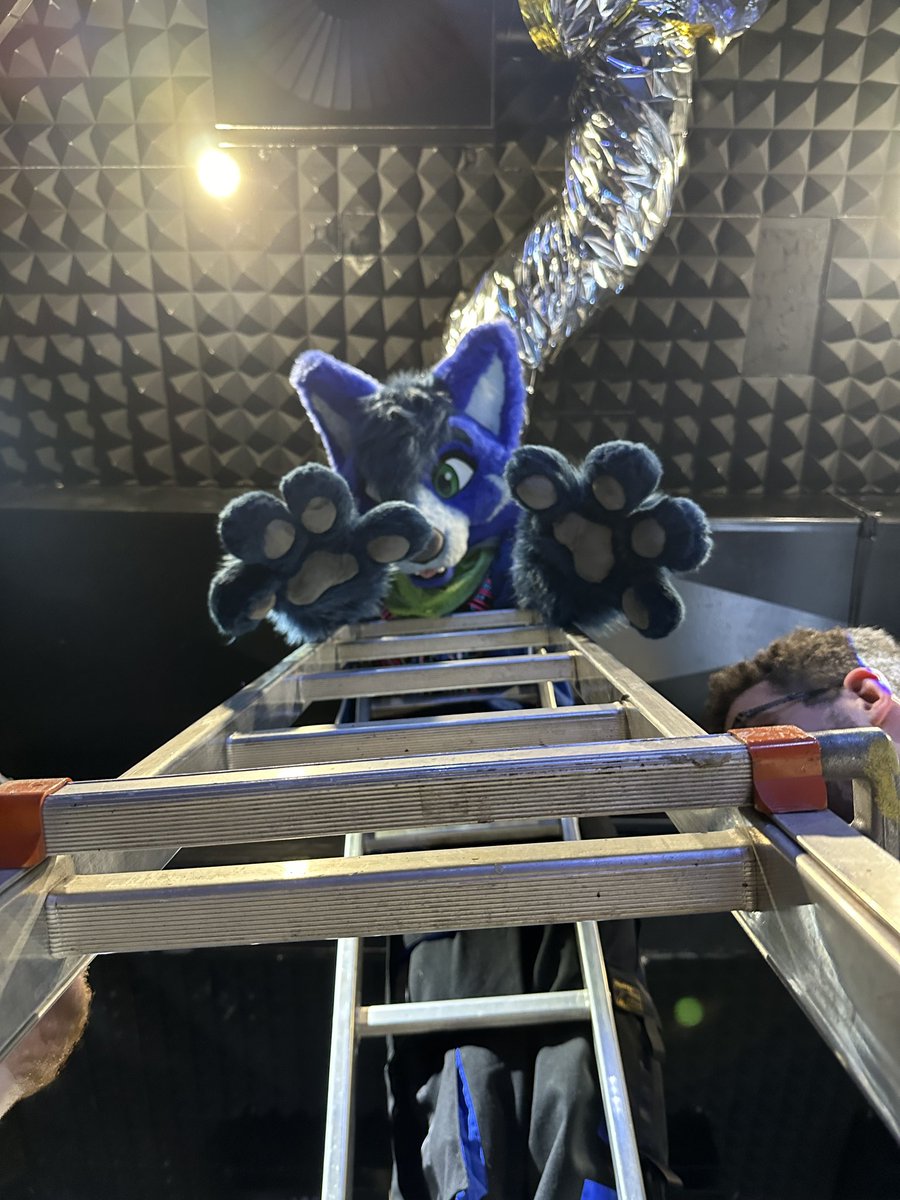 How about some hugs on the top of the ladder?  🪜

📷 <a href="/lextramow/">Lexi McSwirl</a>
