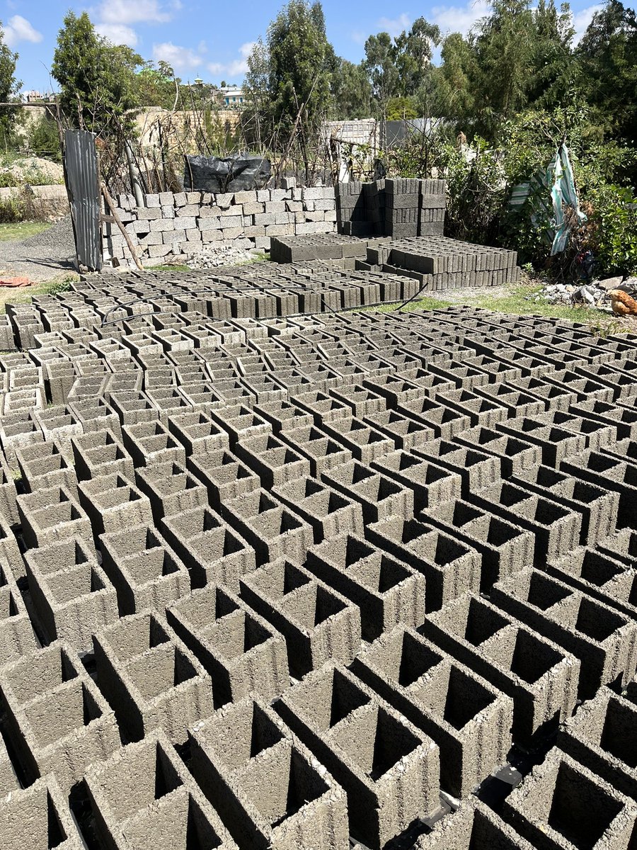 Great to visit this morning a Poultry Project in Adigrat supported by <a href="/trocaire/">trócaire</a> one of seventy similar projects where twenty Rhode Island Red hens lay 17 eggs a day offering income and a sense of self sufficiency where the trader now has a small concrete cavity block business