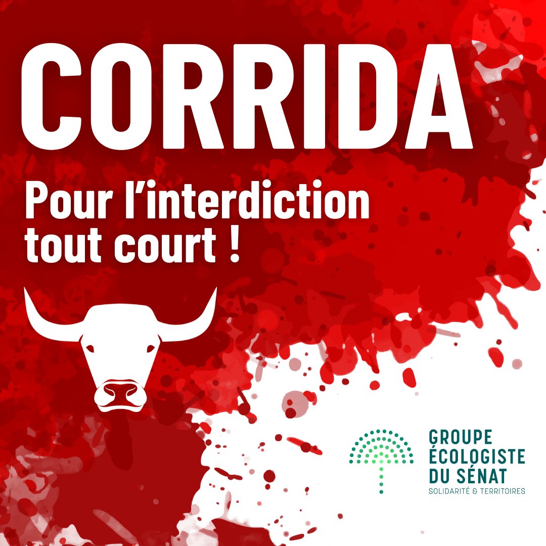 Aujourd'hui le Sénat débat de l'interdiction de la corrida pour les moins de 16 ans.

Le Groupe Écologiste l'avait déjà proposé dès 2021, et donc votera bien entendu POUR ✅

👉 Mais n'est pas suffisant. Il faut aller vers une interdiction tout court ! #StopCorrida