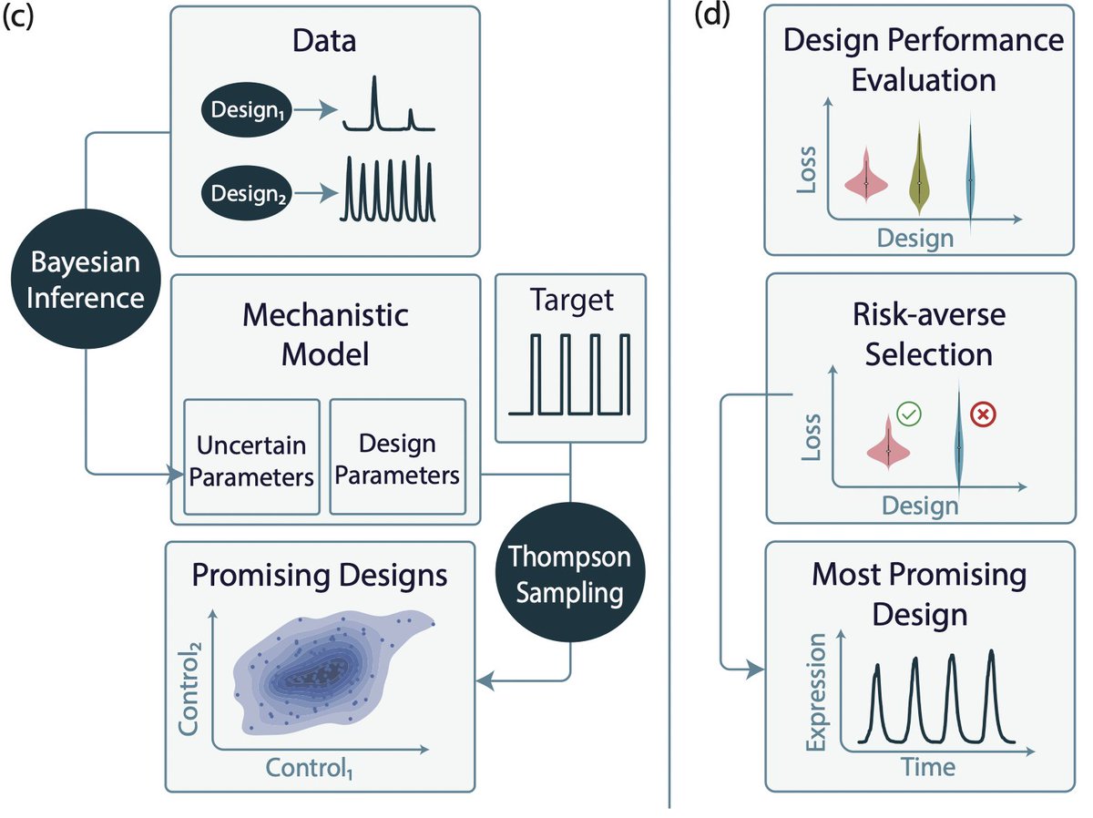 💫New work from our lab
 
🔬Learning from mistakes in synthetic biology

We show that data from failed designs can be re-used to learn model uncertainty and select new designs that work better.  

biorxiv.org/content/10.110…

#synbio #machinelearning #ML #engineeringbiology