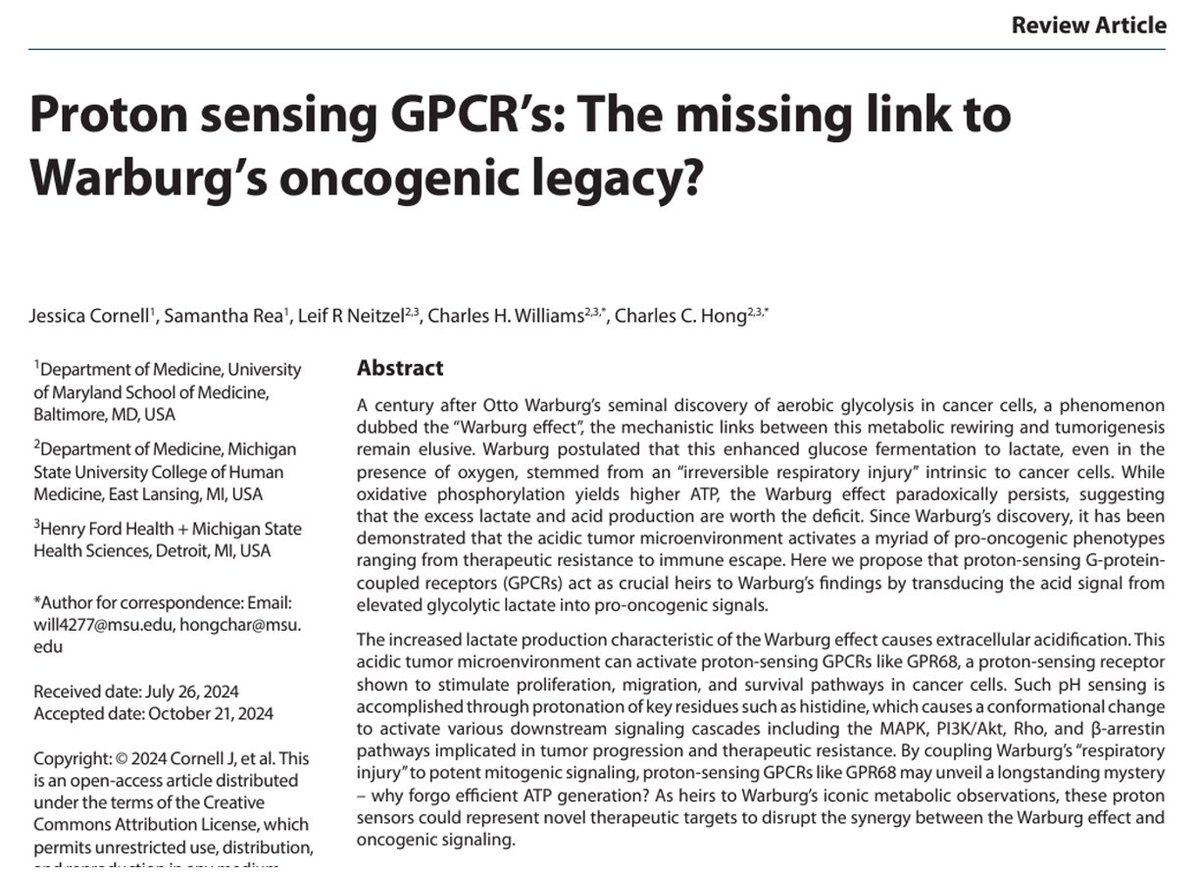 Our mini-review on proton-sensing GPCRs &amp; #oncogenesis is now out. Highlights critical link b/t aerobic glycolysis, first described by Otto Warburg, acidic tumor microenvironment &amp; pro-oncogenic protection from #ferroptosis. #SpartansWill
#TumorMicroenvironment #Ogremorphin