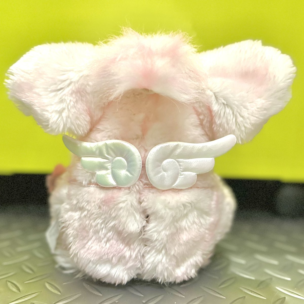 ロージーちゃんにユニコーンバッグをプレゼントしました🦄買い物中可愛くて衝動買い🛍️
そして極め付けは背中の翼🪽
更にとってもキュートになりました🥰

#ファービー
#farby