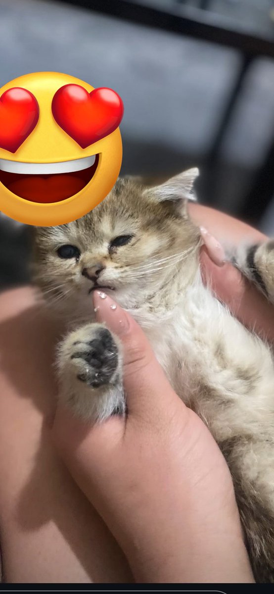 Slmmm slmmmm benim minnakimmm da size günaydın diyorrrr😍😍😍😍😍😍😍