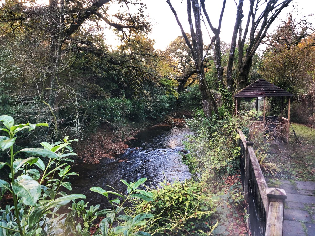 The River Avon next to the cottage in late Autumn 🍃