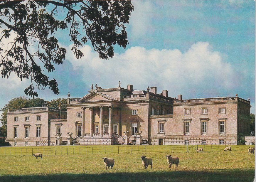 PastPostcard's tweet image. It was such a relief to see different people &amp;amp; to think of the possibility of reading novels &amp;amp; drinking wine again.