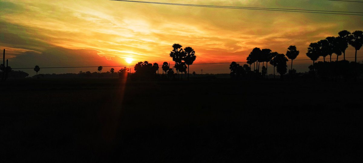 ସକାଳେ ଚାଲିବାକୁ ଯାଇଥିବା ବେଳର କିଛି 📸