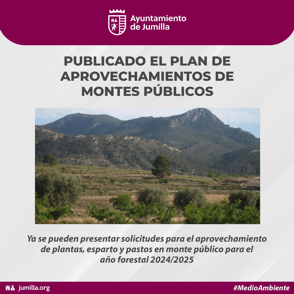 🌿 ¡Ya se pueden presentar solicitudes para el aprovechamiento de pastos, esparto y plantas aromáticas en los montes públicos de Jumilla!
