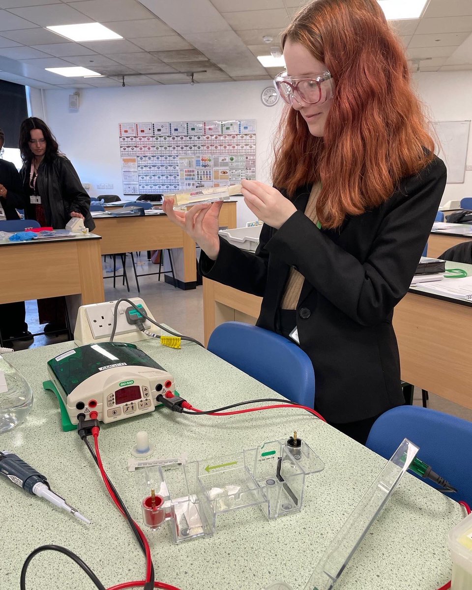 StanboroughS's tweet photo. AMGEN treat for our biologists at Stanborough. This Laboratory experience offered the students the use of professional apparatus and techniques so thank you @amgenbiotech! (2/2)
#amgenbiotech
#biotechexperience
@ ABEProgoffice
@STEM_UH
@TSNphil
@unihertslms https://t.co/opS1pez9tH
