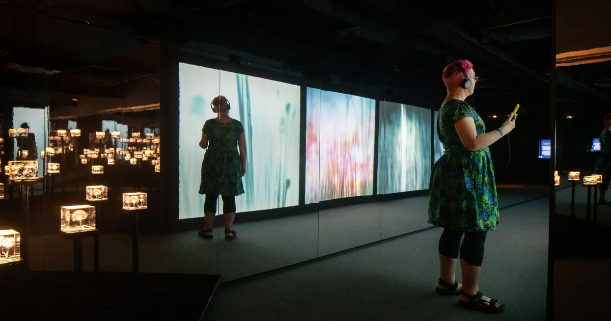 ✨ Kicking off Disability History Month! We're committed to creating memorable experiences for everyone💚

"Bees: A Story of Survival" features sensory maps, visual stories, self-led audio tours and relaxed sessions, there's something for all🐝

🔗 liverpoolmuseums.org.uk/bees