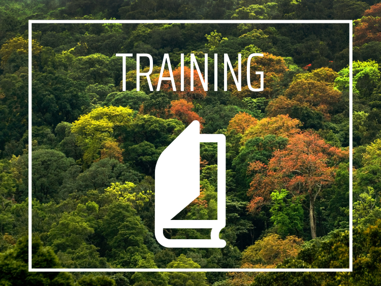 PEFC UK are holding a two-day online chain of custody auditor refresher and PEFC EUDR DDS initial training course on 19th and 20th November. 
For more information register here: pefc.co.uk/events/auditor…