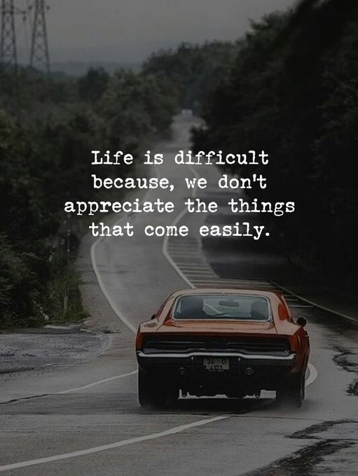 Mindful Maven tweet media