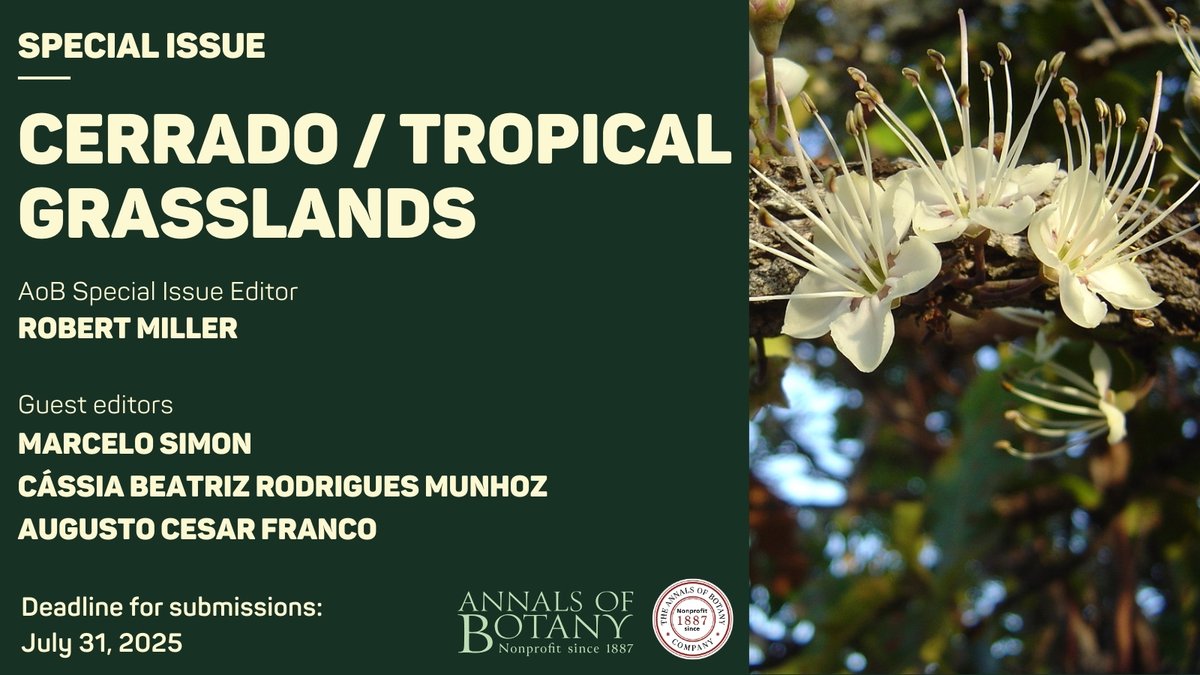 🌿Annals of Botany announces a new special issue on "State of the Global Flora (Cerrado/Tropical Grasslands)", edited by AoB editor Robert Miller and guest editors Marcelo Simon, Cássia Beatriz Rodrigues Munhoz and Augusto Cesar Franco (1/4)
#botany #cerradobrasileiro