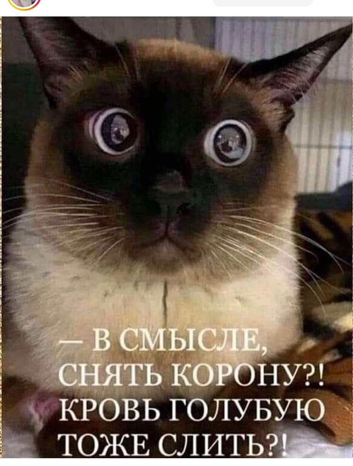 Серый Сосов (@seriysosov) on Twitter photo 