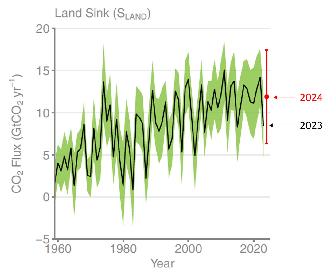 Peters_Glen's tweet image. Did the land sink collapse in 2023? No

The land sink was low in 2023, as expected with an El Niño.

The land sink will partially recover in 2024 as the El Niño subsides, but with high uncertainty.

Should we worry about the climate impact on land? Yes

essd.copernicus.org/preprints/essd…
