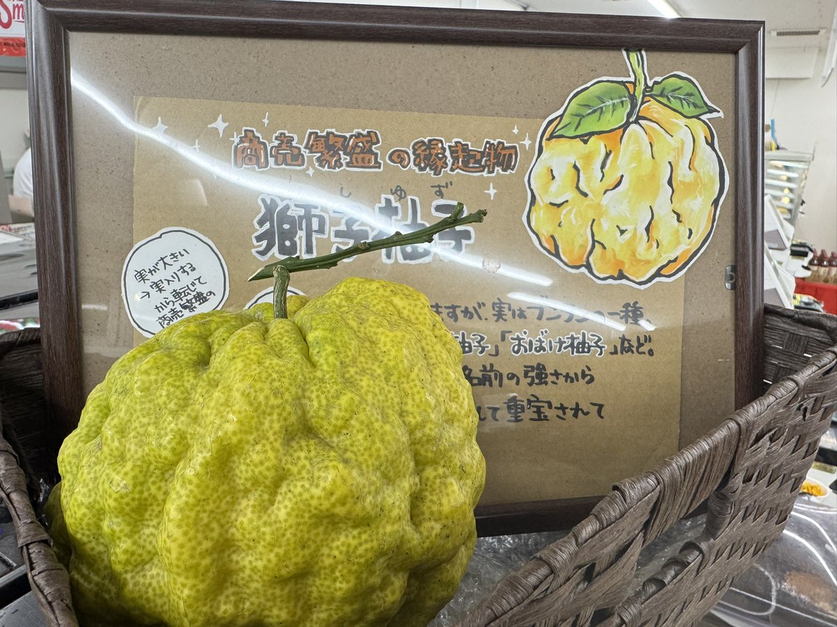 daisonzura's tweet photo. 今年も沼津からやってきた〜🌕
いつもありがとうございます！！
あらためて思う…

でかい https://t.co/Pq00ayPApX