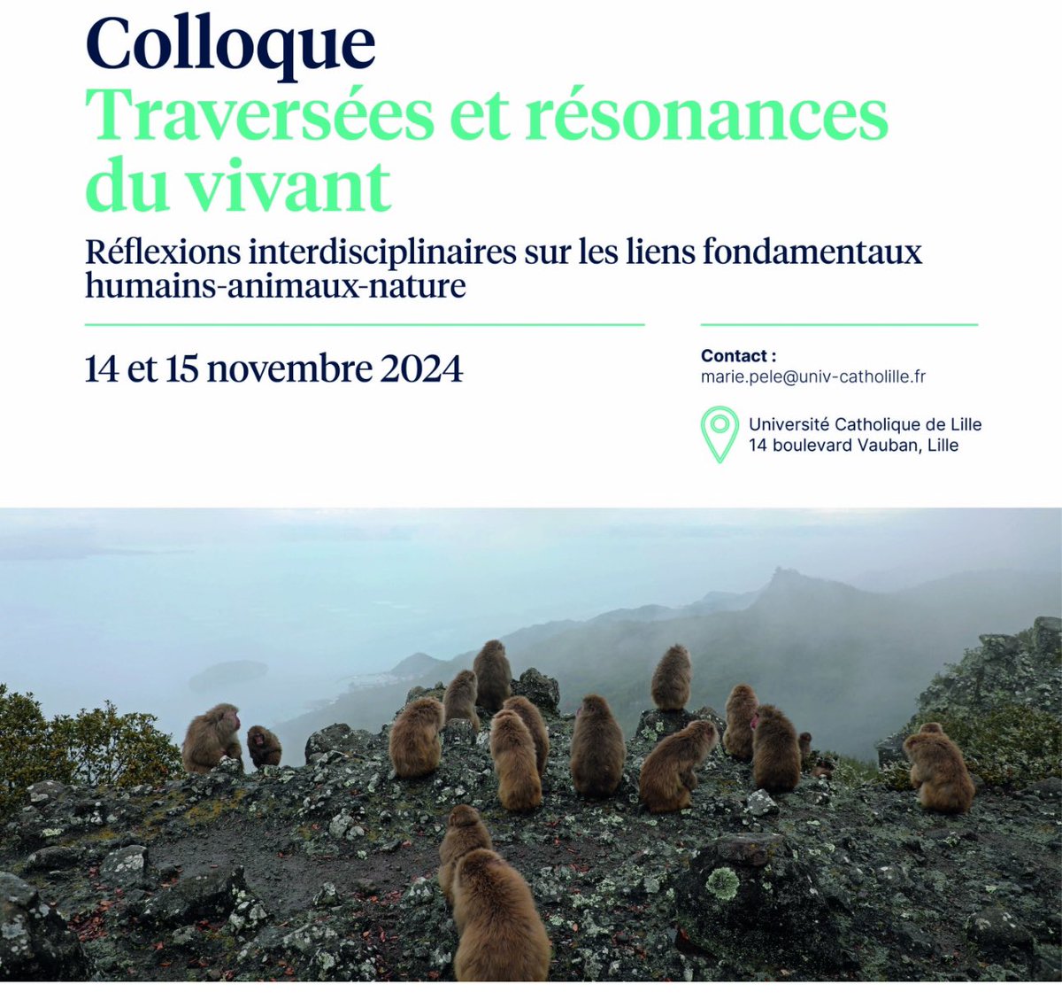 At the Université Catholique de Lille for a meeting on « Crossing and resonances of the living », a pluridisciplinary exchange on the relationships between humans, animals and environment. Thanks to the organizers for these fascinating exchanges!