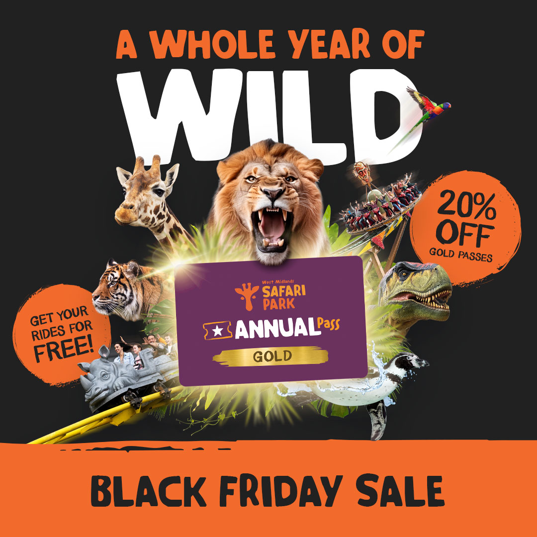 ✨ Black Friday Sale! ✨

Starts NOW until 2nd Dec! 🤩

🌟 20% Off Gold Annual Passes
🌟 30% Off Lodges VIP Experiences
🌟 30% Off Flexible Tickets
🌟 20% Off Everything in our Online Shop

Shop &amp; Save: wmsp.co.uk/black-friday

Don't miss out! 🛍️

#WMSP #BlackFriday2024